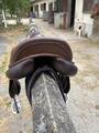 selle forestier à vendre