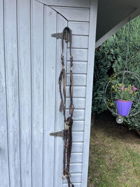 collier de chasse havane LJ