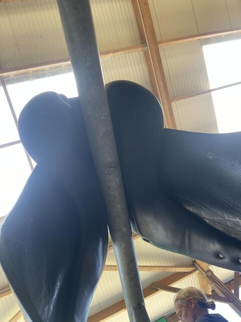 Selle dressage Antares
