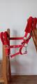 Licol rouge taille COB