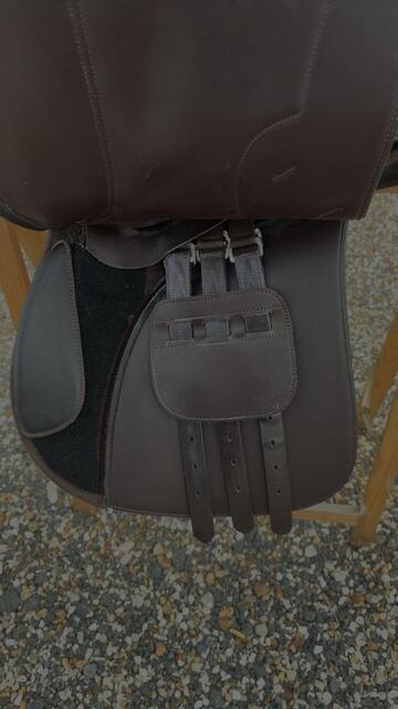 Selle Norton 17"