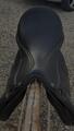 Selle Norton 17"