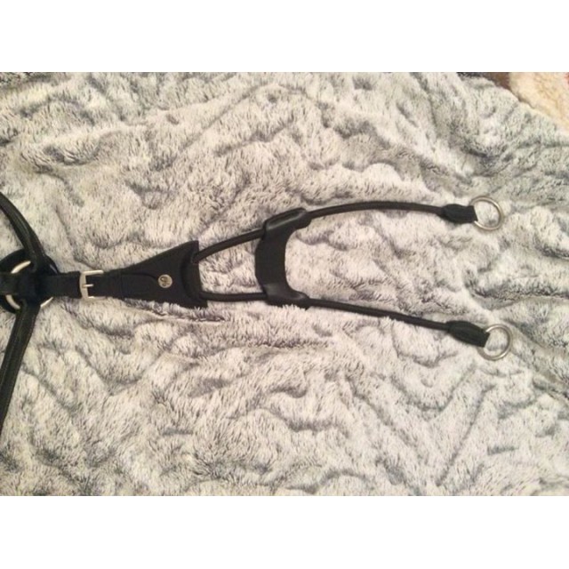collier de chasse cheval + martingale