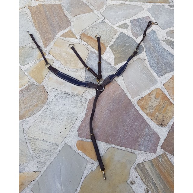 Collier de chasse avec martingale