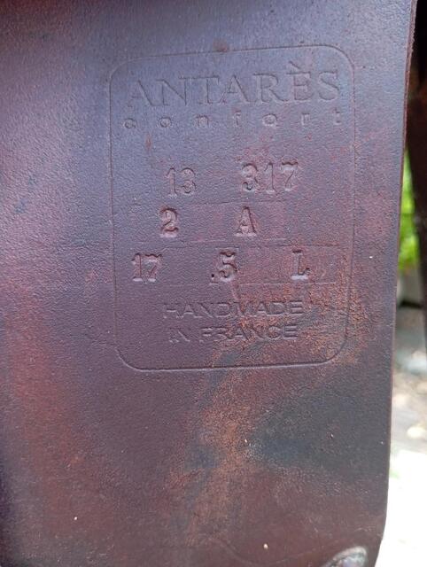 Selle Antares