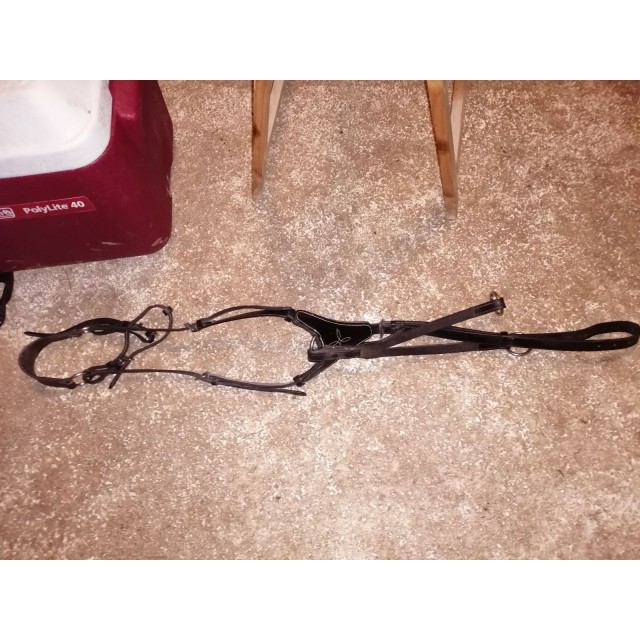 Collier de chasse et martingale