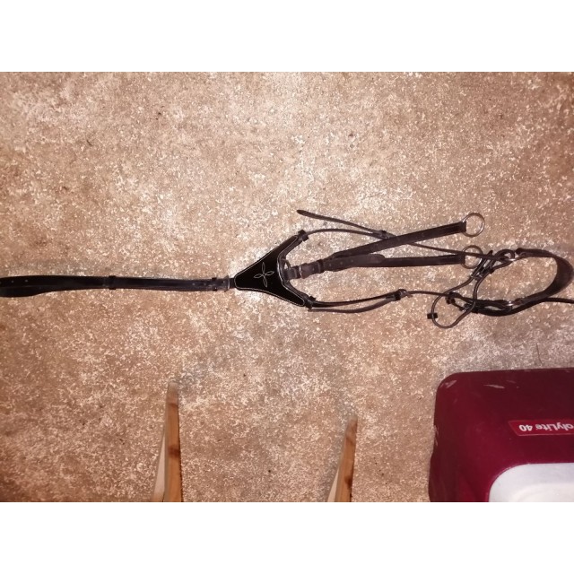 Collier de chasse et martingale