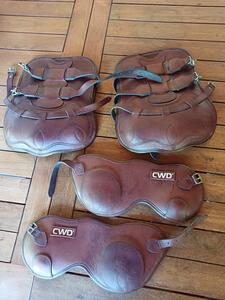 Protections CWD