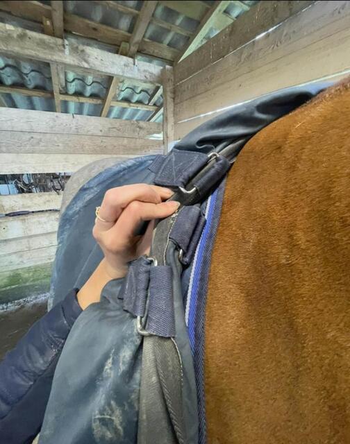 Liner Equithème 200g