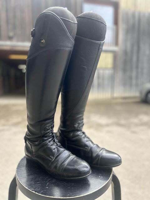 bottes equi thème 40 mollet M