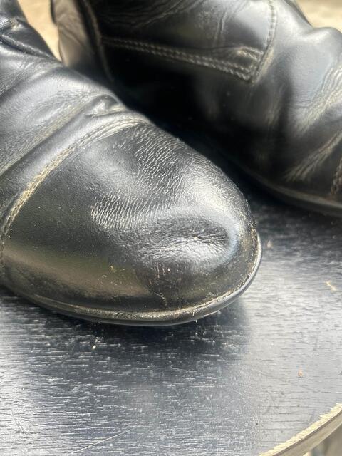 bottes equi thème 40 mollet M