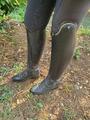 Botte dressage