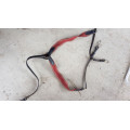 Collier de chasse Bordeaux/Noir Taille COB