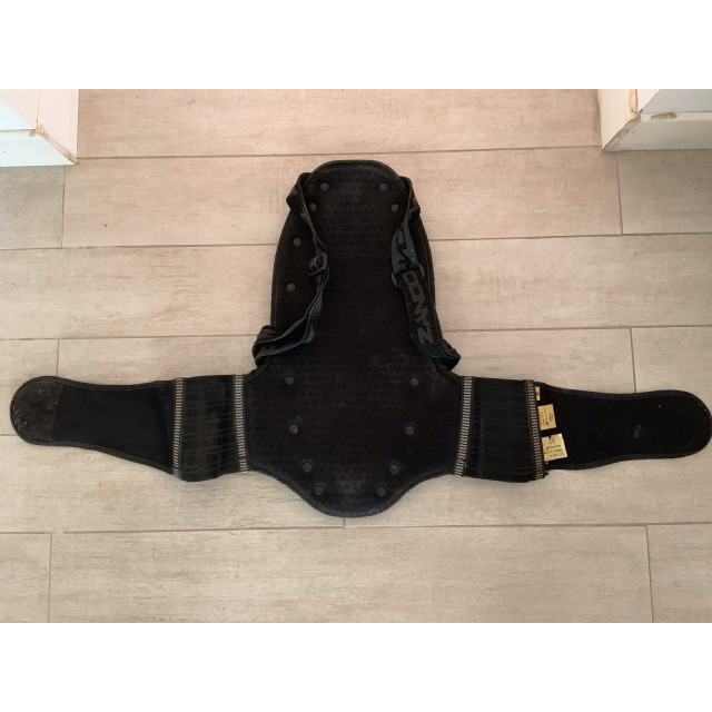 PROTECTION DORSALE