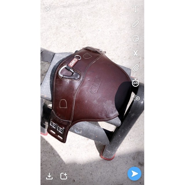 Sangle bavette courte cwd