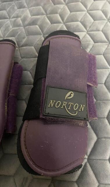 Guetre Antérieur Violette Norton