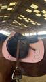 Selle Atlas Arion