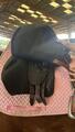 Selle Atlas Arion