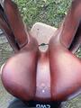 Selle 2gs mademoiselle CWD