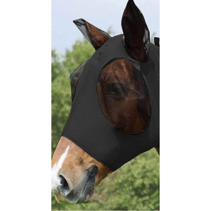 bonnet