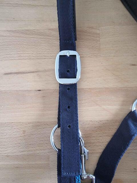 licol et longe Norton