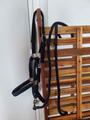 licol et longe Norton