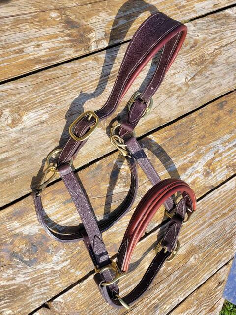 Licol en cuir devoucoux havane