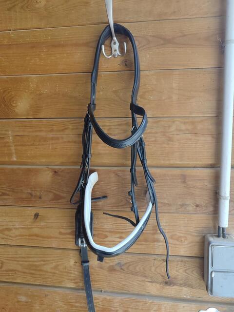 Bridon dressage D'yon
