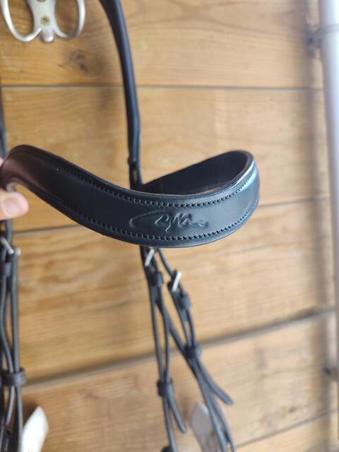 Bridon dressage D'yon