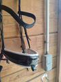 Bridon dressage D'yon