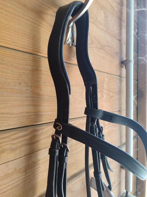 Bridon dressage D'yon