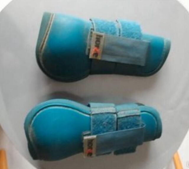 Guetres bleu
