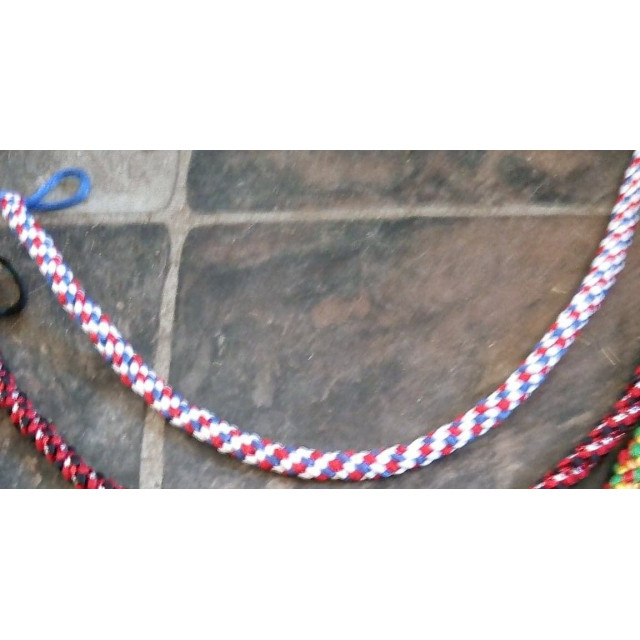 Frontal Tricolor France