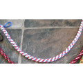 Frontal Tricolor France
