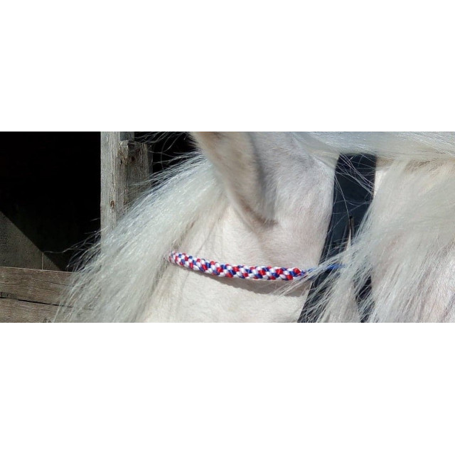 Frontal Tricolor France