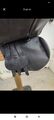 Selle mixte Éric Thomas 17’5 brune