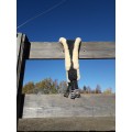 sangle en mouton