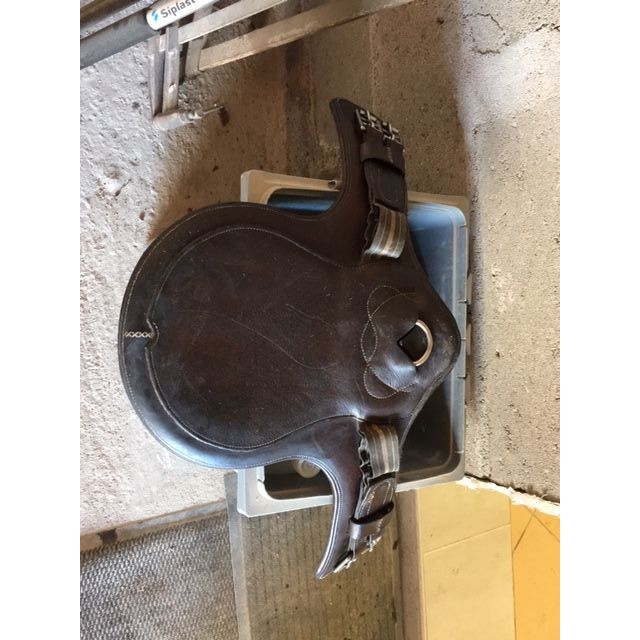 SANGLE BAVETTE ANTARES COURTE 60