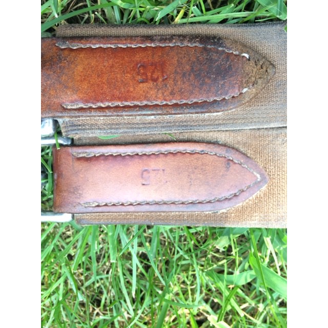 Sangle en cuir taille 125cm (taille cheval)