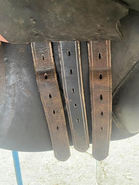 Selle Barry TdeT