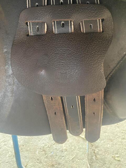 Selle Barry TdeT