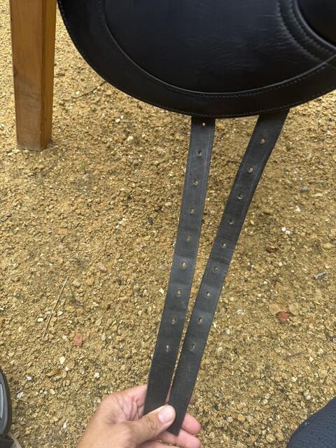 Selle dressage cwd