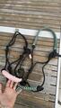 lot de 2 licols éthologiques \ 1 taille cob & 1 taille cheval