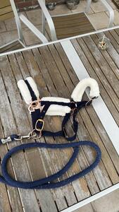 Licol taille poney, avec moumoute et boucles en rose gold