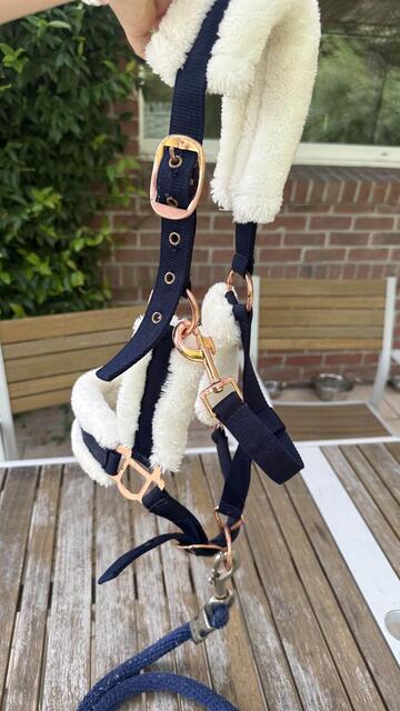 Licol taille poney, avec moumoute et boucles en rose gold