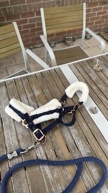 Licol taille poney, avec moumoute et boucles en rose gold