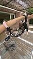 lot de 2 licols éthologiques \ 1 taille cob & 1 taille cheval