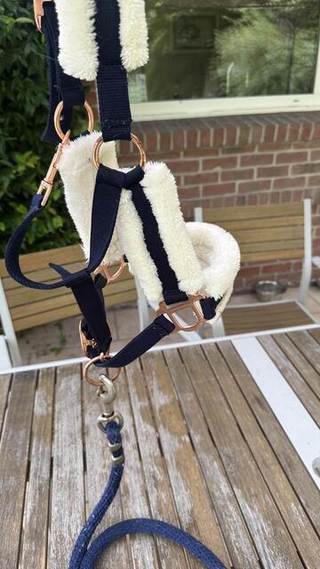 Licol taille poney, avec moumoute et boucles en rose gold