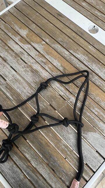 lot de 2 licols éthologiques \ 1 taille cob & 1 taille cheval