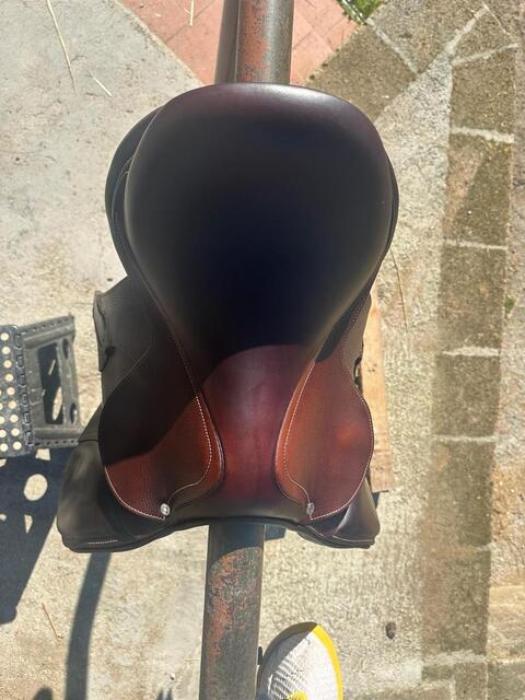 SELLE ANTARES